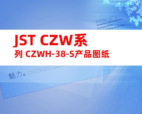 JST CZW系列 CZWH-38-S产品图纸